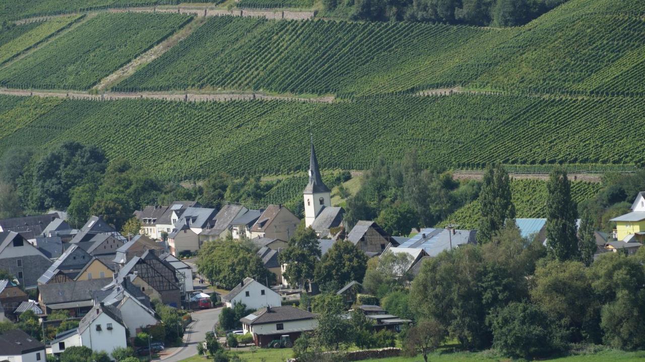 Altes Winzerhaus - Ferienhaus Burgen  Ngoại thất bức ảnh